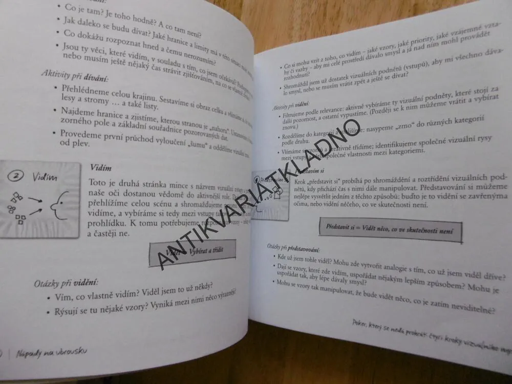 NÁPADY NA UBROUSKU, ŘEŠTE PROBLÉMY A PREZENTUJTE MYŠLENKY POMOCÍ OBRÁZKŮ, DAN ROAM