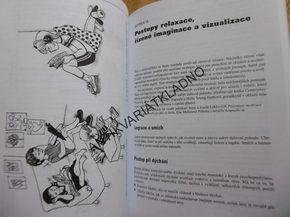 NESOUSTŘEDĚNÉ A NEKLIDNÉ DÍTĚ VE ŠKOLE, RIEFOVÁ