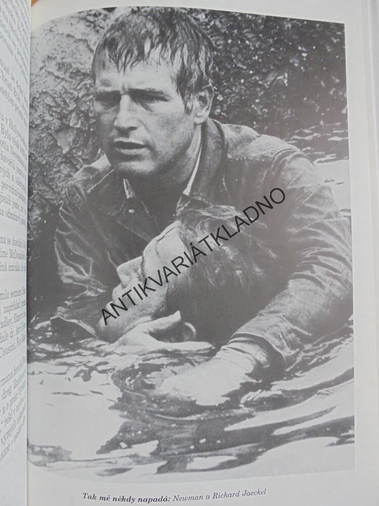 PAUL NEWMAN A JOANNE, HEREC FILM