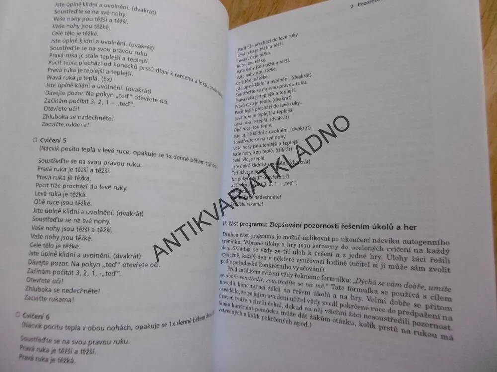 POZORNOST, MOTIVACE, RELAXACE A TVOŘIVOST DĚTÍ VE ŠKOLE, LOKŠOVÁ,