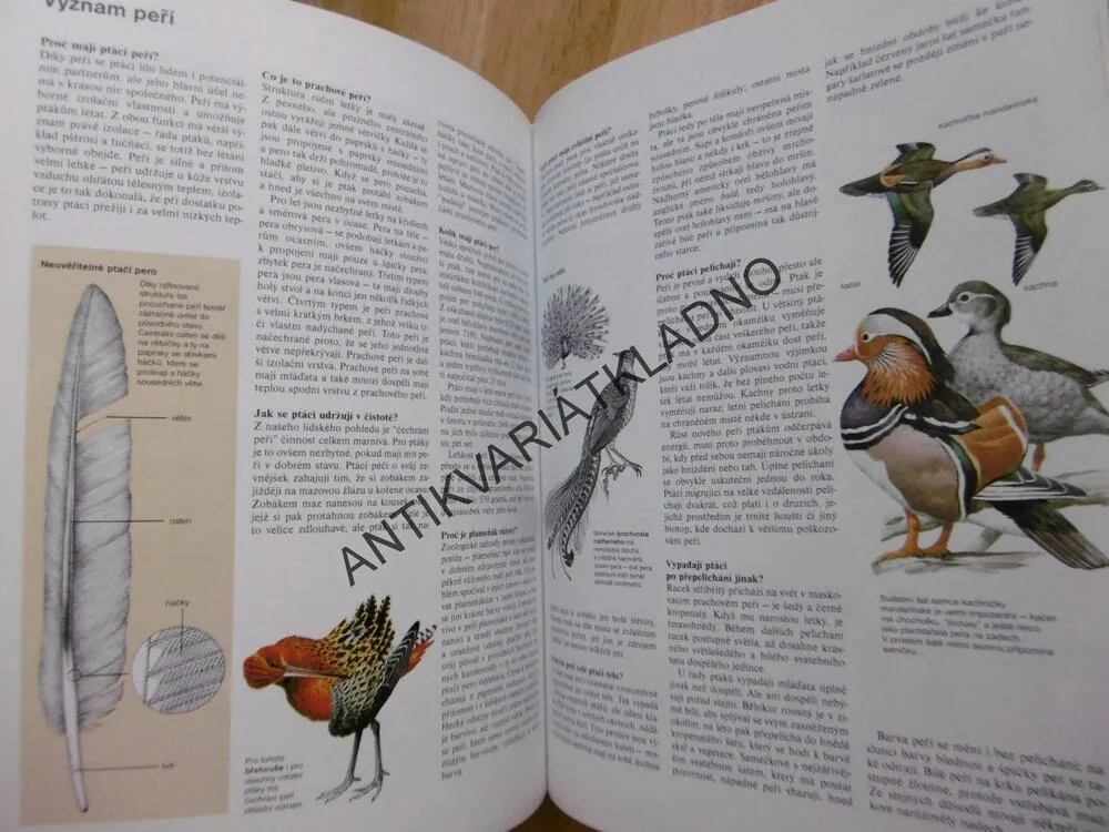 ABC PŘÍRODY, SVĚT V OTÁZKÁCH A ODPOVĚDÍCH, **an