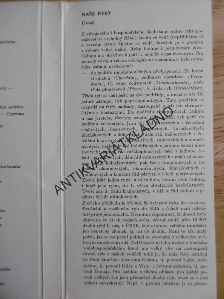 NAŠE RYBY, SOUBOR KARET 55 KS ZE 63 