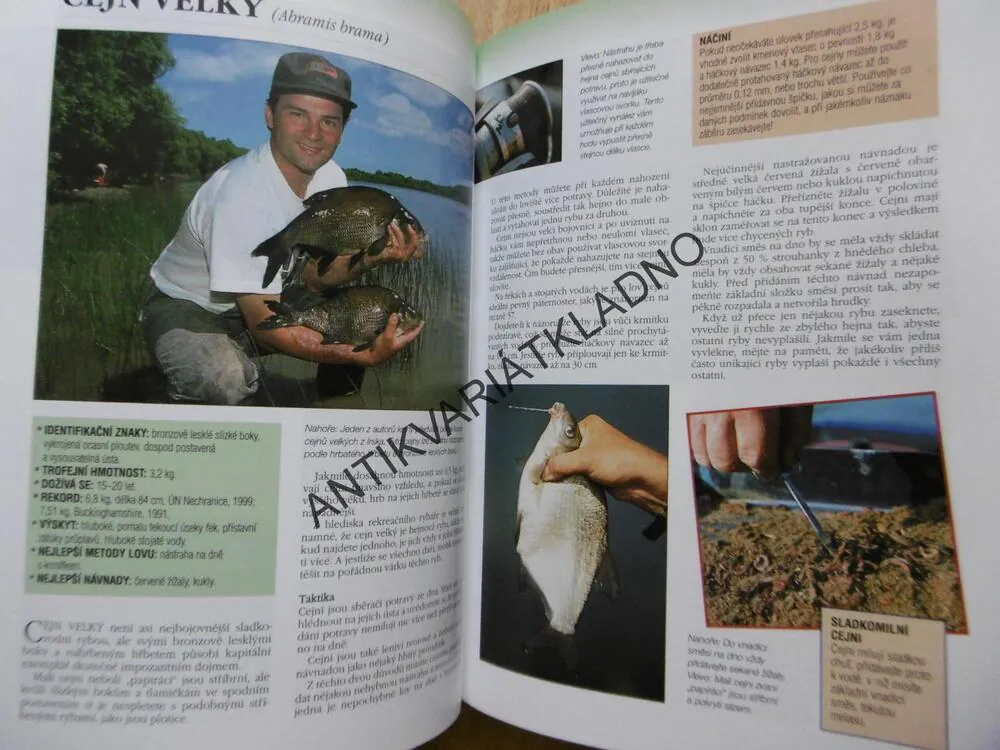 VŠECHNO O RYBAŘENÍ, PURNELL, YATES, DAWN, **an