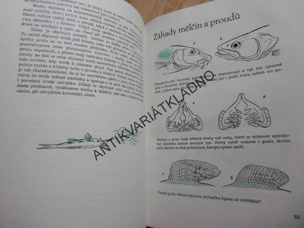 NA RYBÁŘSKÉ STEZCE, NOVÝ, HÍSEK, **an