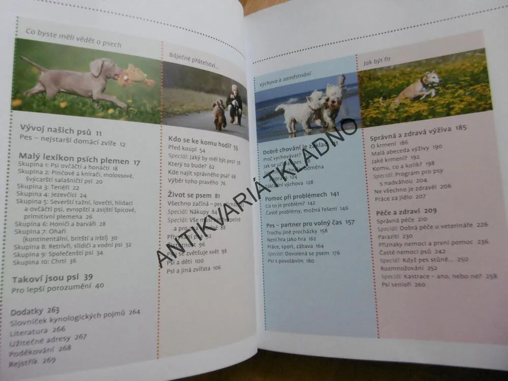 ABECEDA PÉČE O PSA, BOHATSTVÍ RAD A NÁPADŮ, SCHMIDT-RÖGEROVÁ, **an