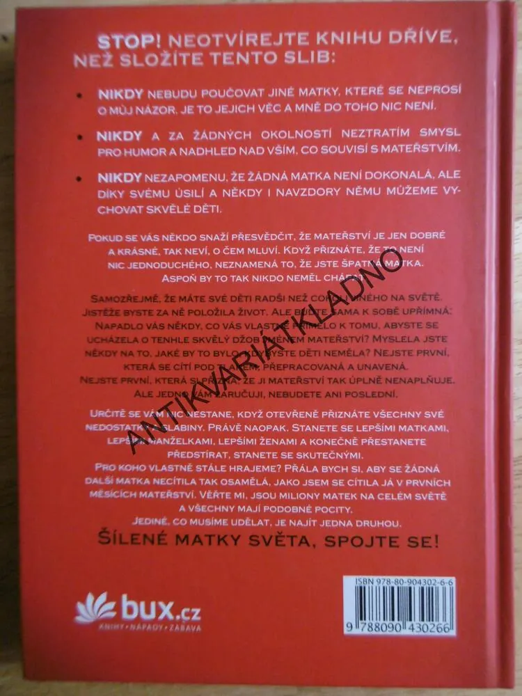 ZPOVĚĎ ŠÍLENÉ MATKY, JILL SMOKLEROVÁ, **an