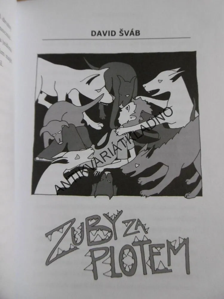 NOČNÍ MŮRY NESPÍ, TVŮRČÍ SKUPINA HLAVA NEHLAVA, **an