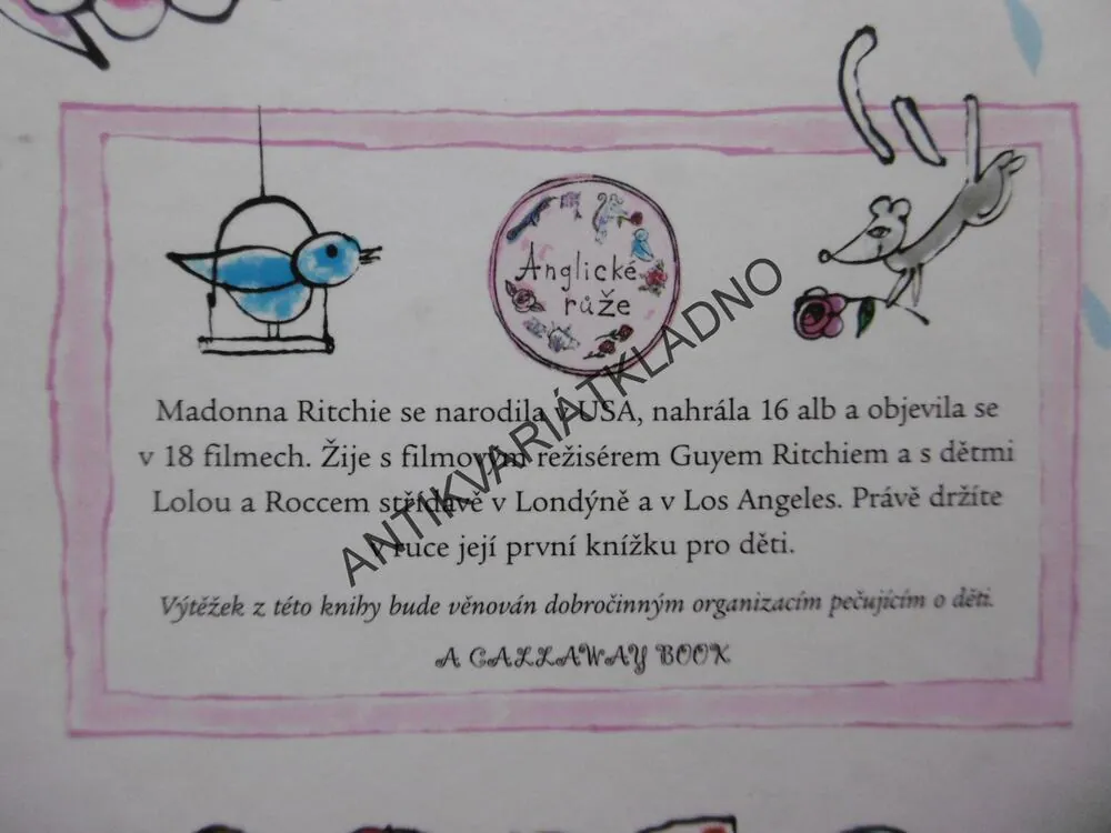 ANGLICKÉ RŮŽE, MADONNA, 