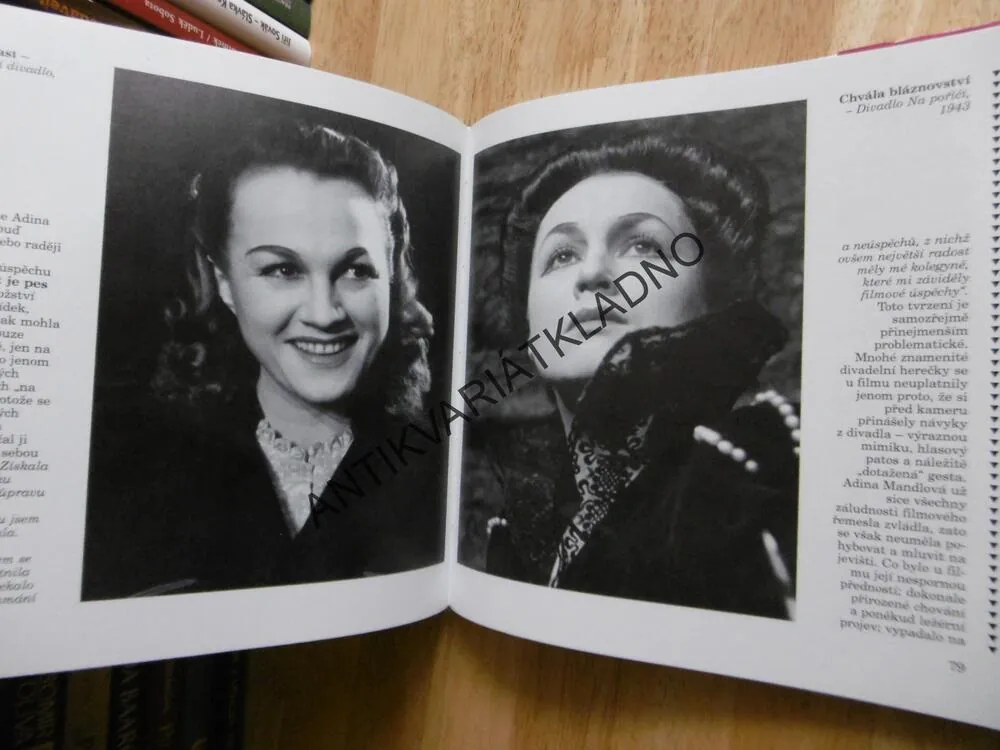 ADINA MANDLOVÁ, OBRAZOVÝ ŽIVOTOPIS, JOSEF FRAIS, JIRAS