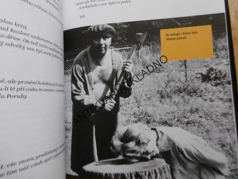 KANTOR HORNÍČEK A TRAXLEŘI ŽÁCI ANEB MUZIKANTSKÉ NEMORÁLY, TRAXLER, **an