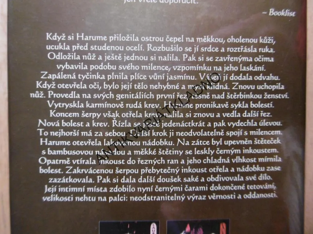 TETOVANÁ KONKUBÍNA, LAURA JOH ROWLANDOVÁ, **an
