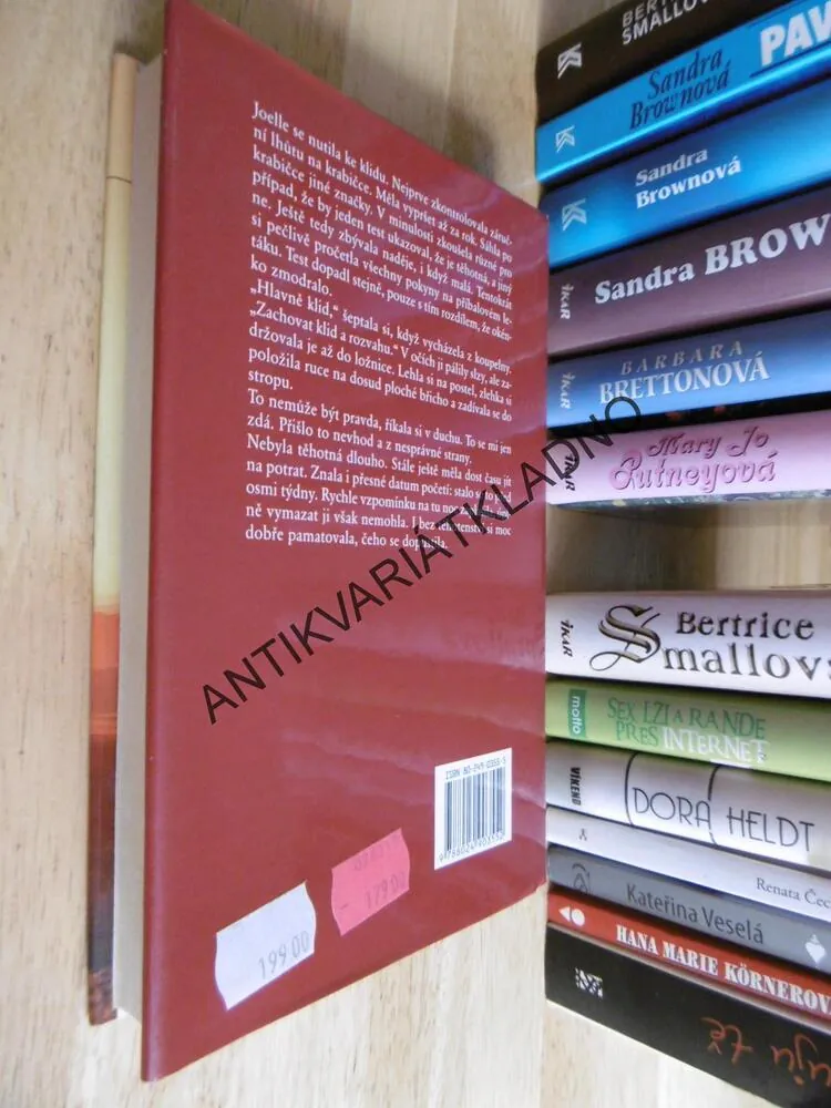 VE STÍNU CYPŘIŠŮ, DIANE CHAMBERLAINOVÁ, **an