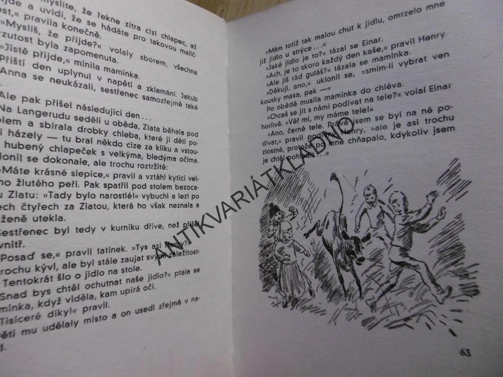 ŠŤASTNÉ DĚTI V ZIMĚ, M.HAMSUNOVÁ, WOWK