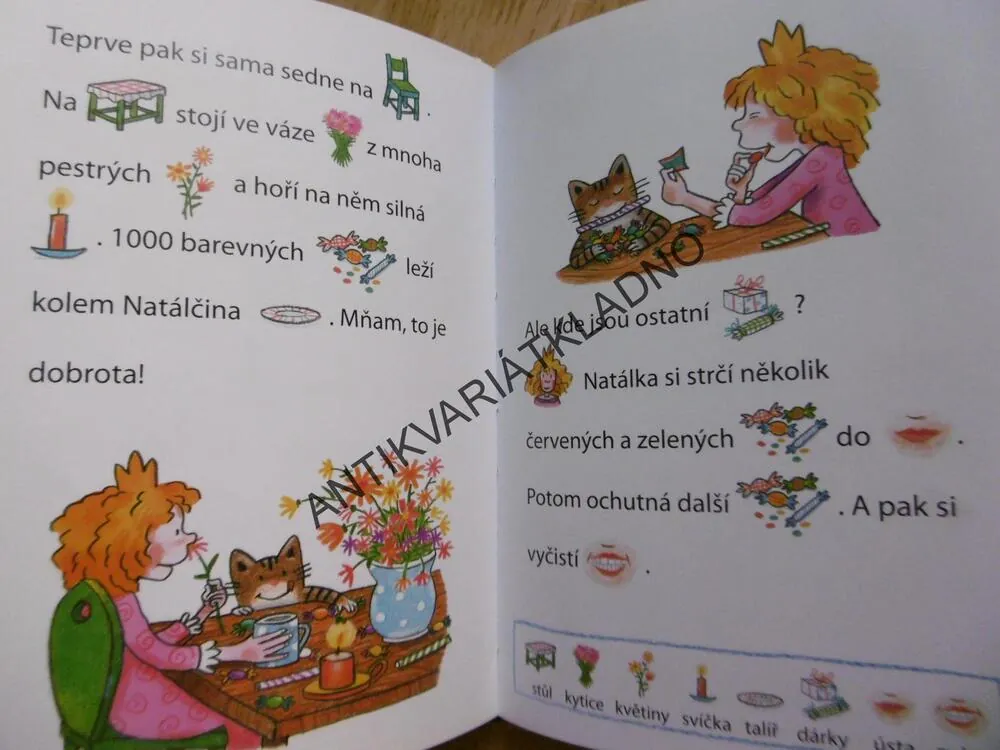 O MALÉ PRINCEZNĚ