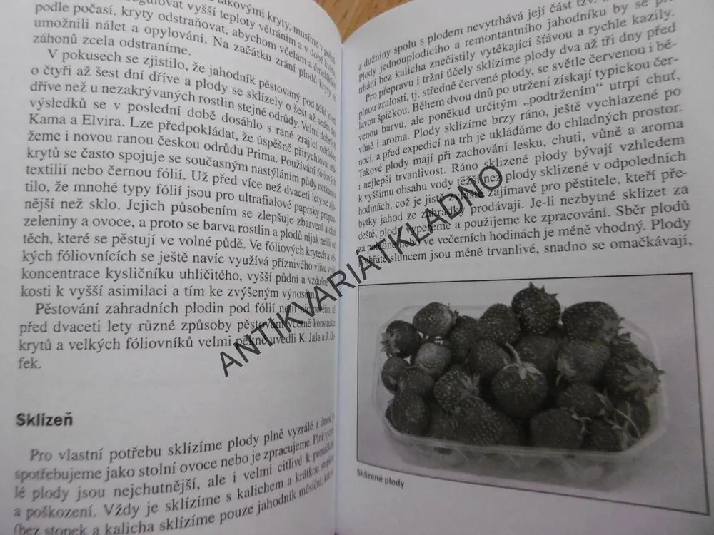 JAHODY, STOVKY DOBRÝ CH RAD A POZNATKŮ PRO ZAHRÁDKÁŘE, JANA DLOUHÁ, **an