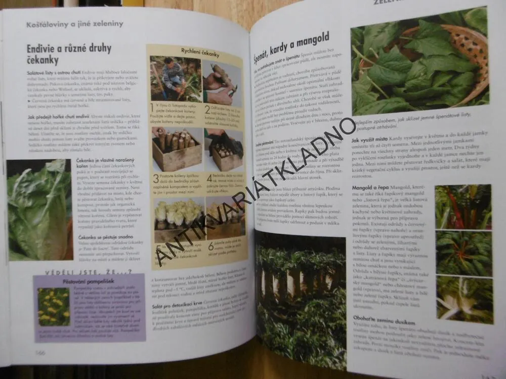 TAJEMSTVÍ DĚDEČKOVY ZAHRADY, **an