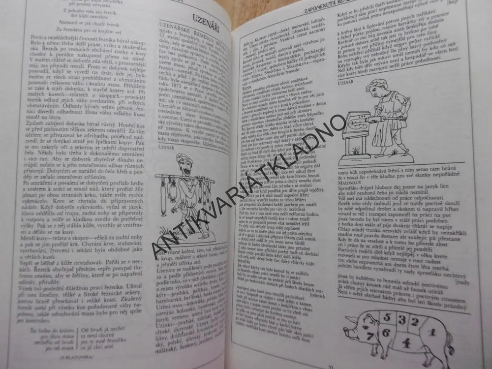 ZAPOMENUTÁ ŘEMESLA, VYPRÁVĚNÍ O LIDECH A VĚCECH, JANOTKA, LINHART, **an