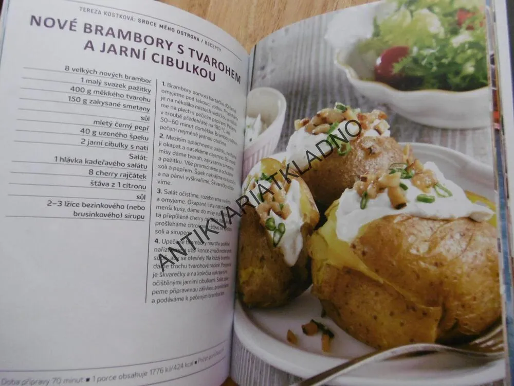 SRDCE MÉHO OSTROVA, KOŘENÍ ŽIVOTA BABIČKY TONITY, TEREZA KOSTKOVÁ, **an