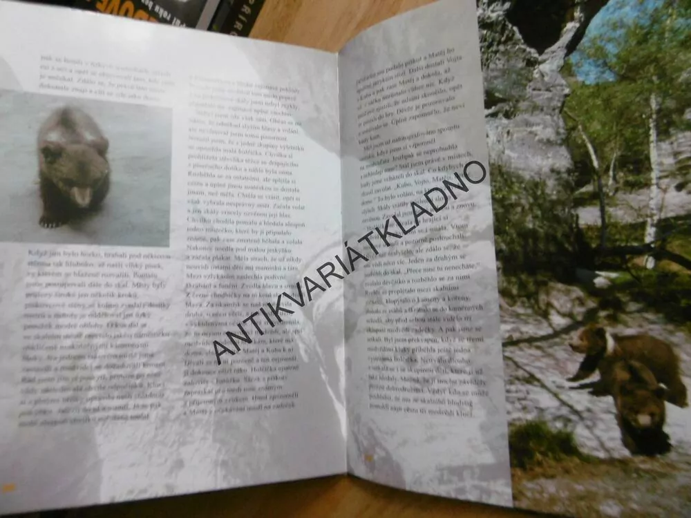 MÉĎOVÉ, PŮL ROKU S MEDVĚDÍMI KLUKY, CHALOUPEK, **an