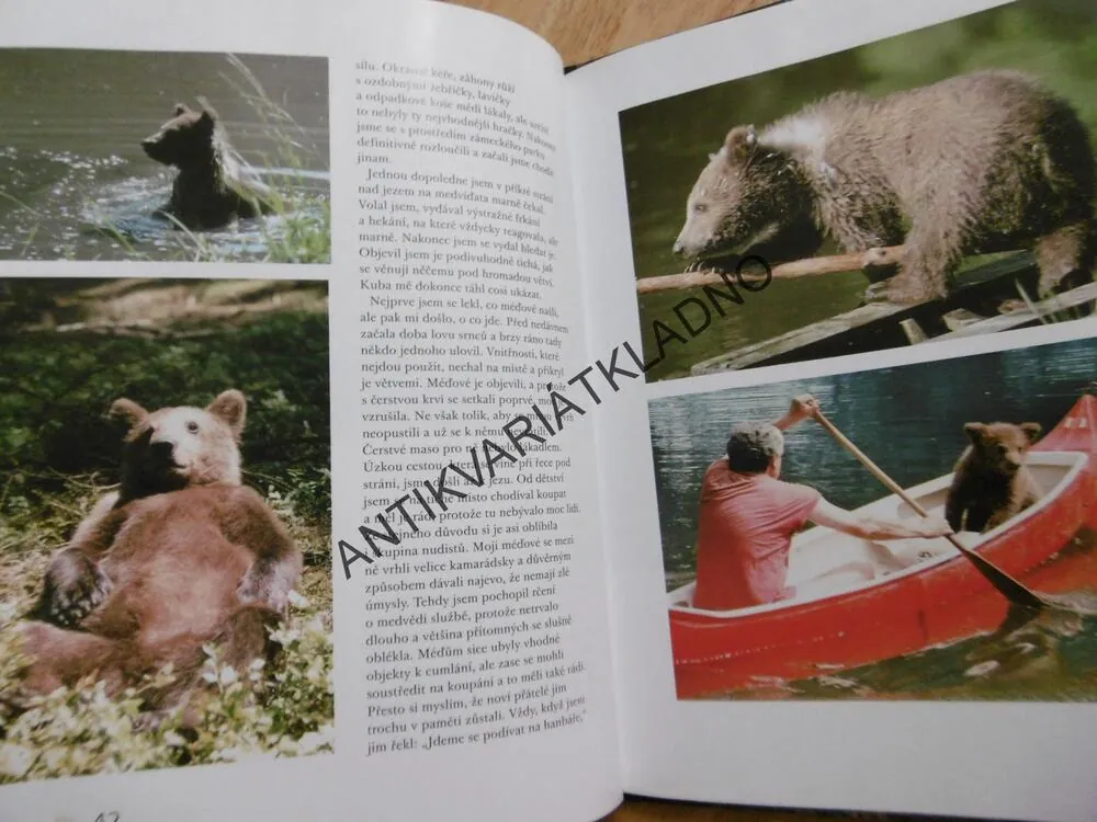 MÉĎOVÉ 2., PŮL ROKU BEZ MEDVĚDÍCH KLUKŮ, CHALOUPEK, **an