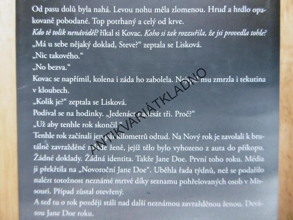 DEVÁTÁ DÍVKA, TAMI HOAG, **an