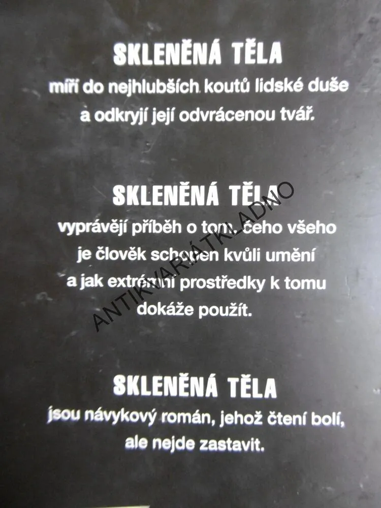 SKLENĚNÁ TĚLA, ERIK AXL SUND, ČERNÁ MELANCHOLIE, **an