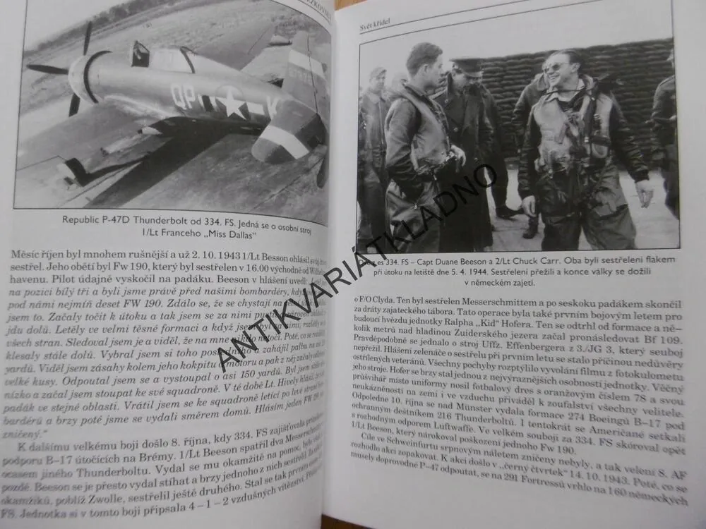 S ORLEM VE ZNAKU, HISTORIE STÍHACÍ SQUADRONY OD BITVY O ANGLII PO VÁLKU V KOREJI, MAREK BRZKOVSKÝ