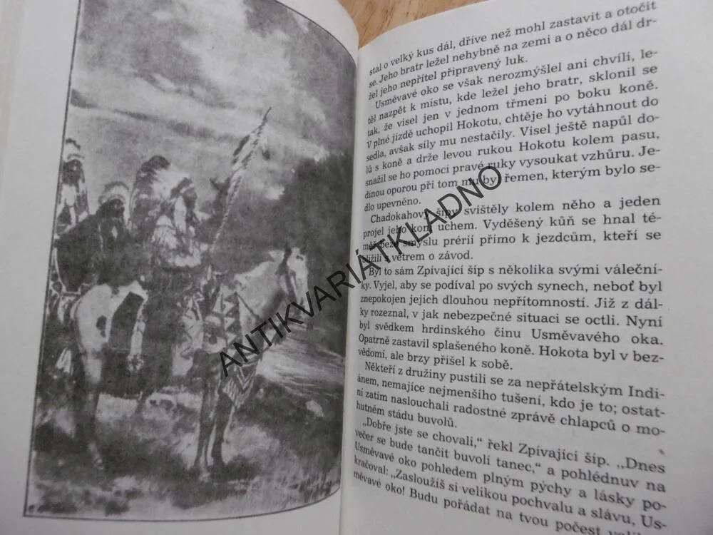 S PUŠKOU A LASEM- ZPÍVAJÍCÍ ŠÍP, TORRY GREDSTED, BURIAN