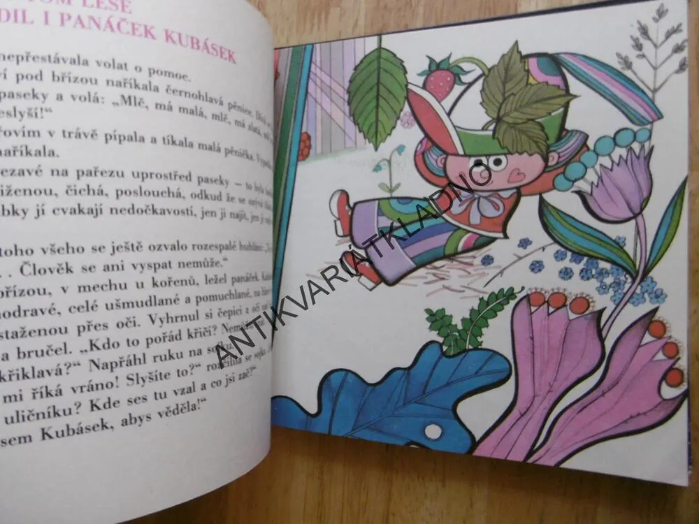 O KUBÁSKOVI, MĚSÍČKOVI A MODROOKÉ NANYNCE, VÍTKOVA, RADEK PILAŘ, **an