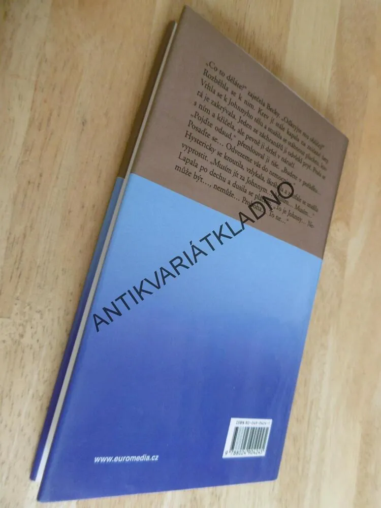 STRÁŽNÝ ANDĚL, DANIELLE STEEL, **an