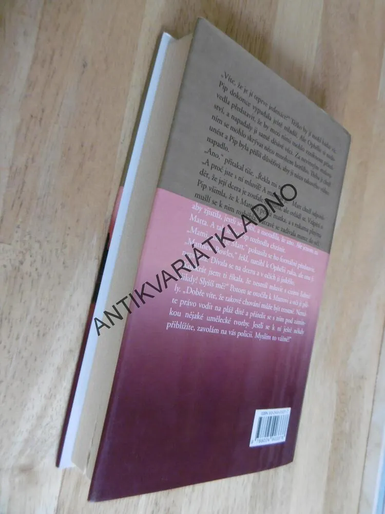 PŘÍSTAV BEZPEČÍ, DANIELLE STEEL