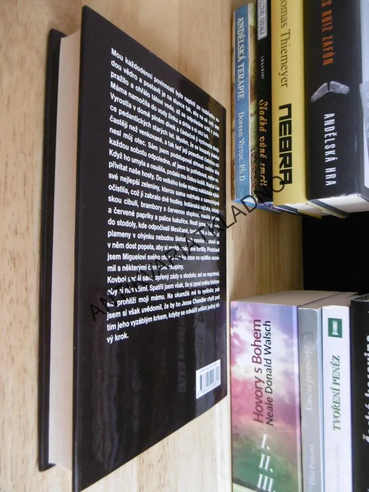 MALOVANÝ DŮM, JOHN GRISHAM, **an