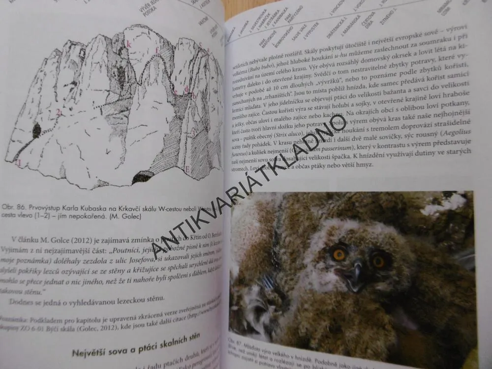 MORAVSKÝ KRAS, PRŮVODCE JOSEFOVSKÝM A KŘTINSKÝM ÚDOLÍM, RUDOLF MUSIL,