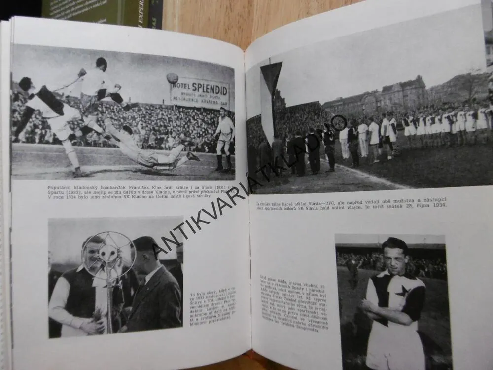 VĚČNÁ SLAVIA, VÍTĚZSLAV HOUŠKA, SPORT, FOTBAL