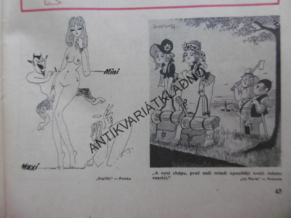 MAGAZÍN DIKOBRAZU