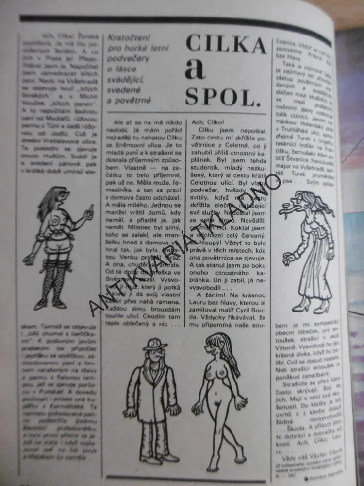 MAGAZÍN DIKOBRAZU 89/2