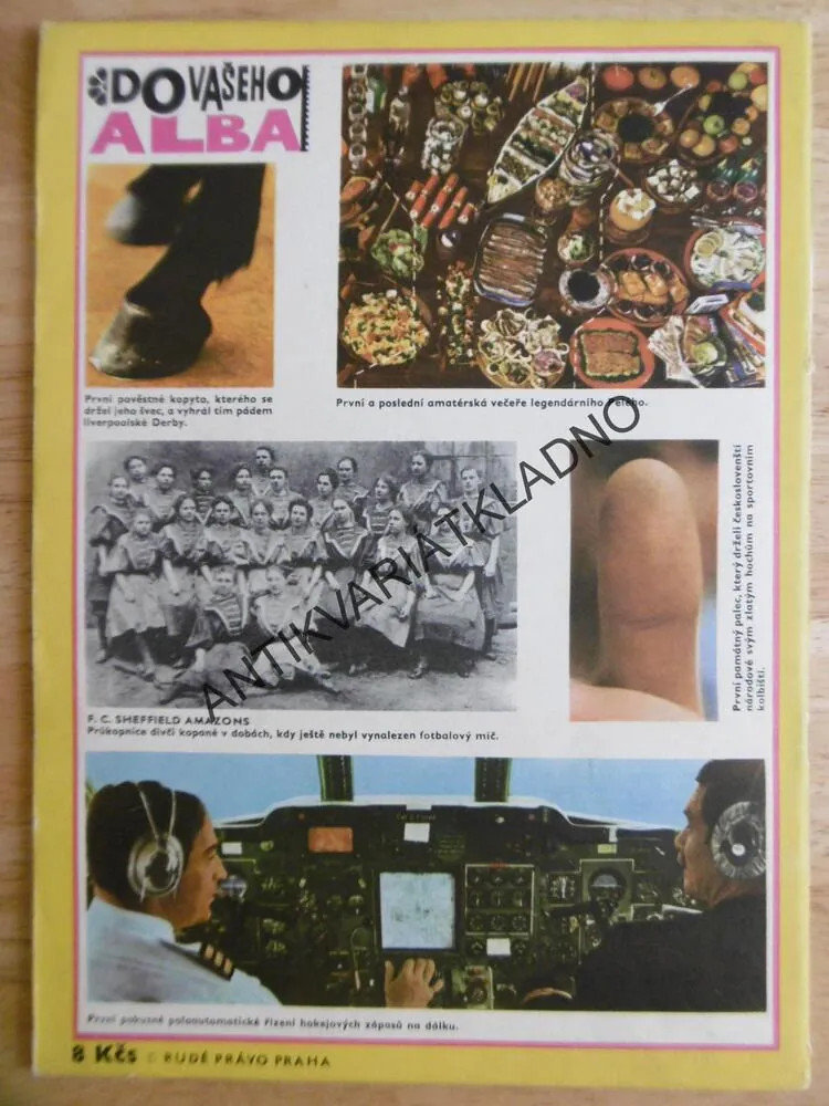MAGAZÍN DIKOBRAZU