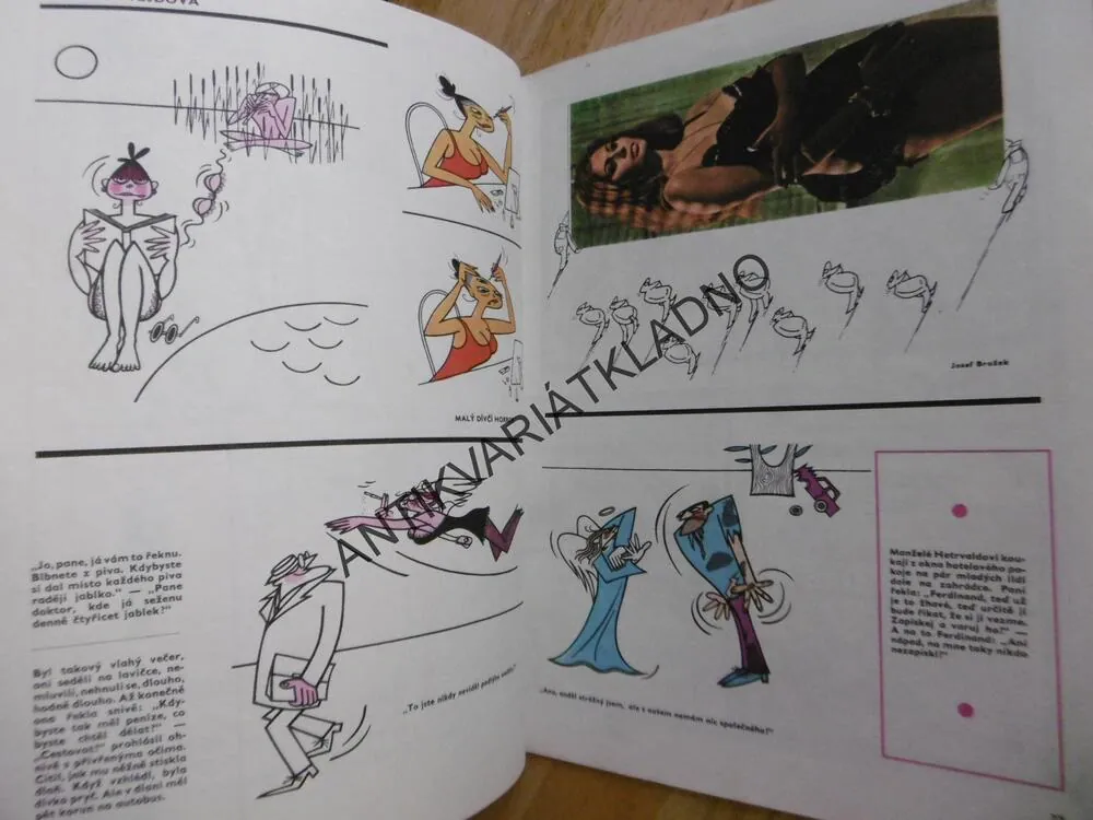 MAGAZÍN DIKOBRAZU