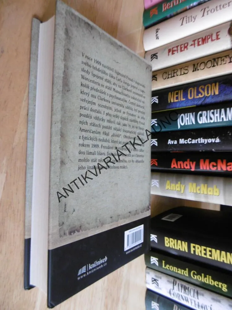 ANALÝZA VRAŽDY, JED RUBENFELD, **an