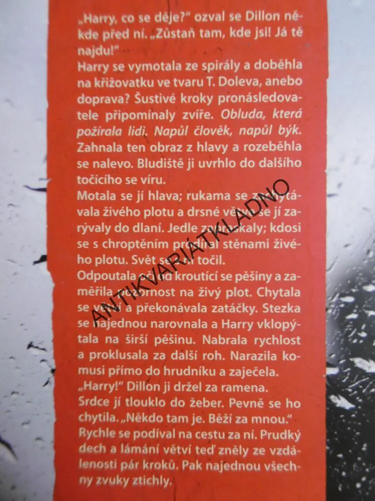 TAJNÉ TRUMFY, AVA MCCARTHYOVÁ, **an