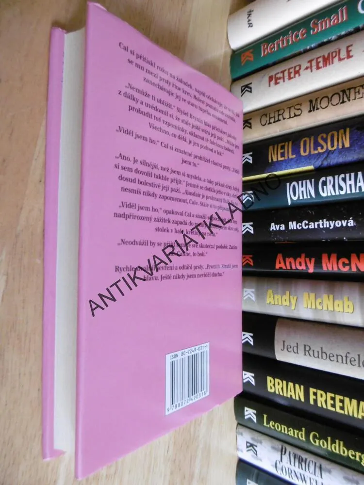 BYL JEDNOU JEDEN HRAD, NORA ROBERTSOVÁ, JILL GREGORYOVÁ, **an