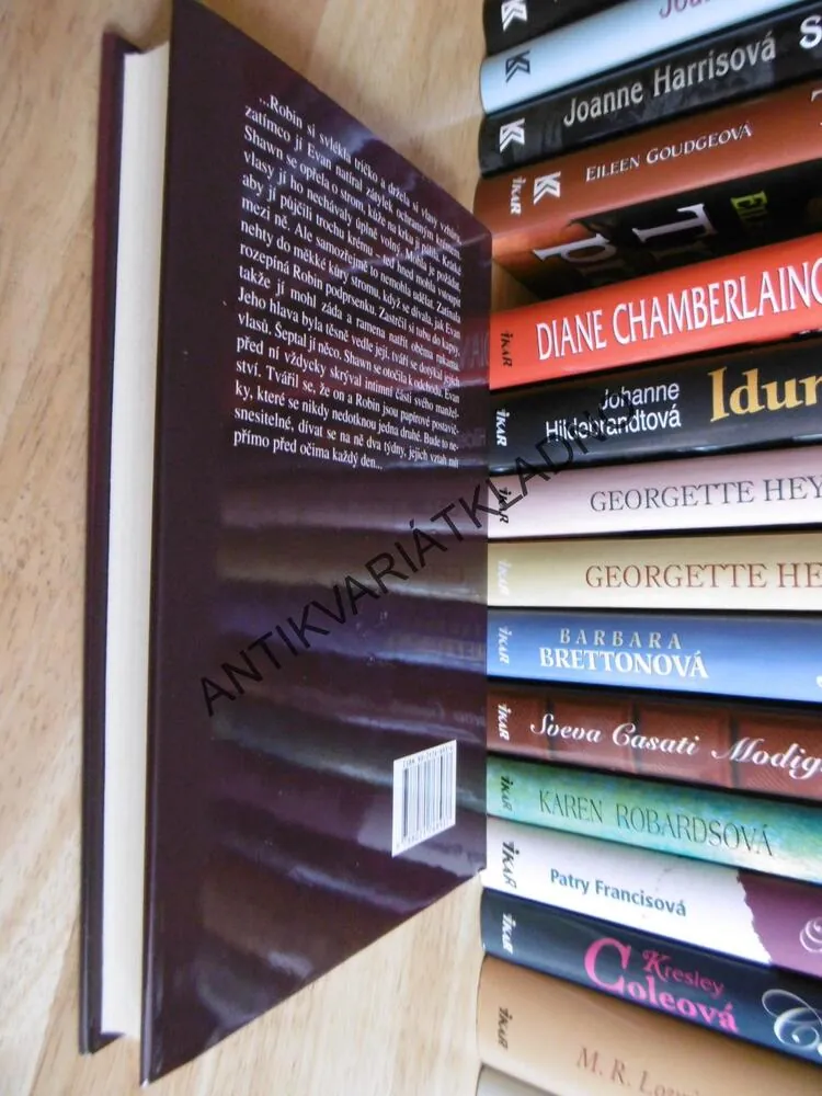 MILENCI A CIZINCI, DIANE CHAMBERLAINOVÁ