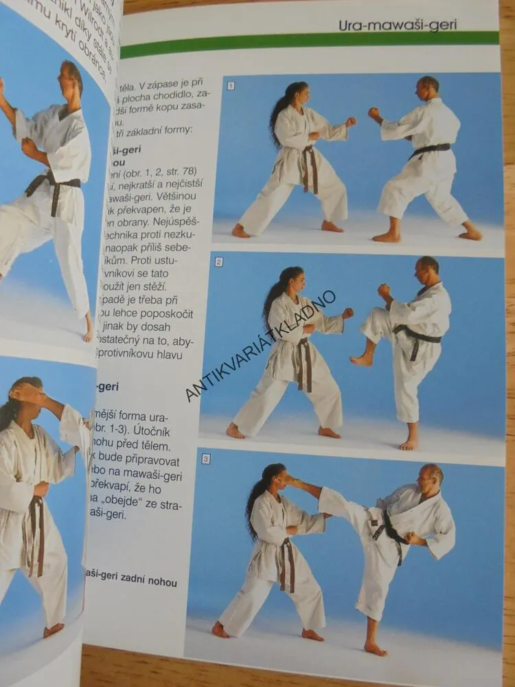 KARATE, SPORT, PRŮVODCE SPORTEM, WICHMANN