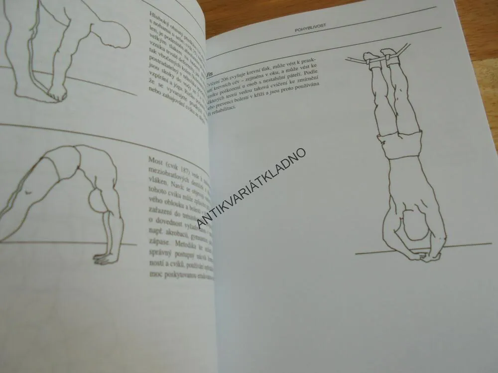 STREČINK, 311 PROTAHOVACÍCH CVIKŮ PRO 41 SPORTŮ, ALTER, SPORT