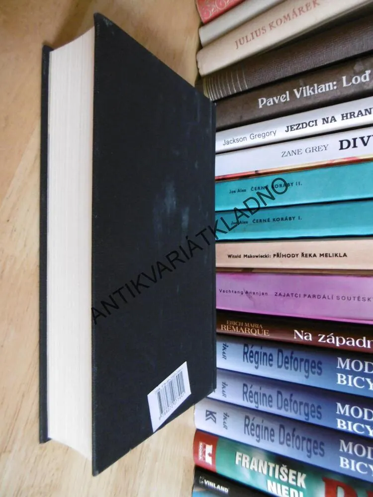 V TEMNÉM ZRCADLE, J. SHERIDAN LE FANU, FILIP KRAUS 2011