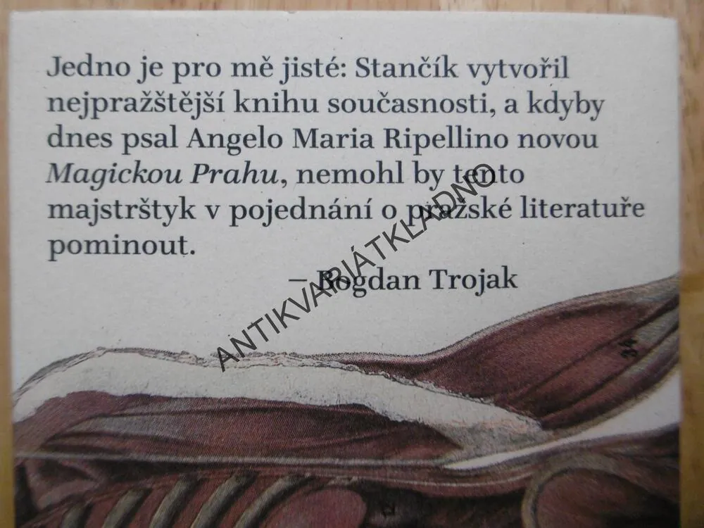 MLÝN NA MUMIE ANEB PŘEVRATNÉ ODHALENÍ KOMISAŘE DURMANA, PETR STANČÍK, **an