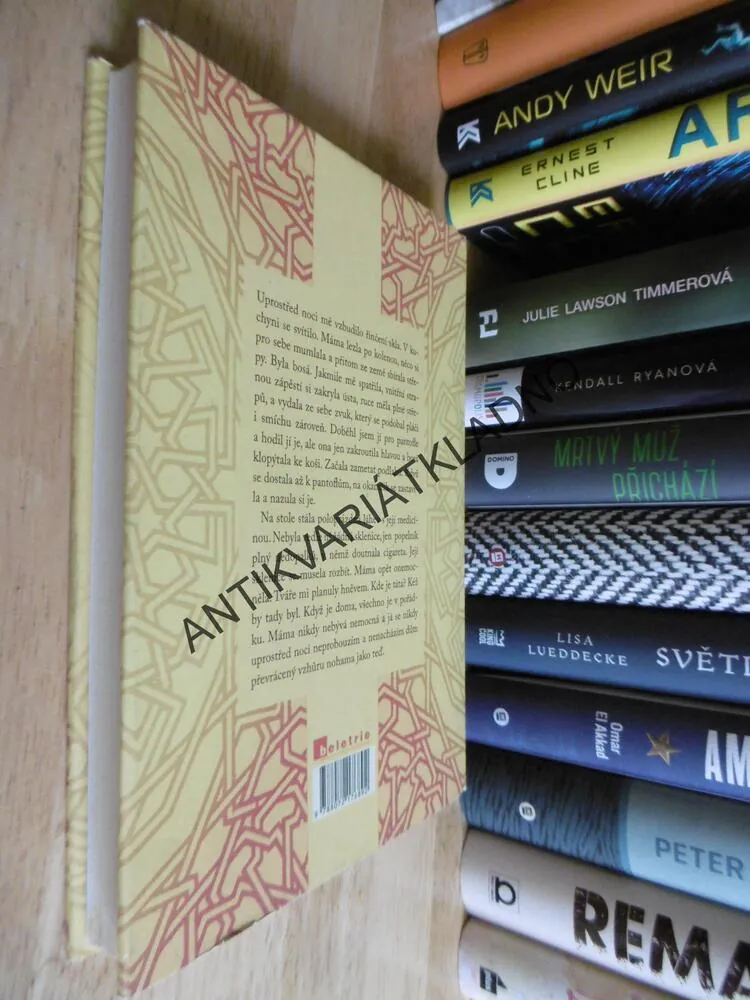 V ZEMI MUŽŮ, HISHAM MATAR, **an