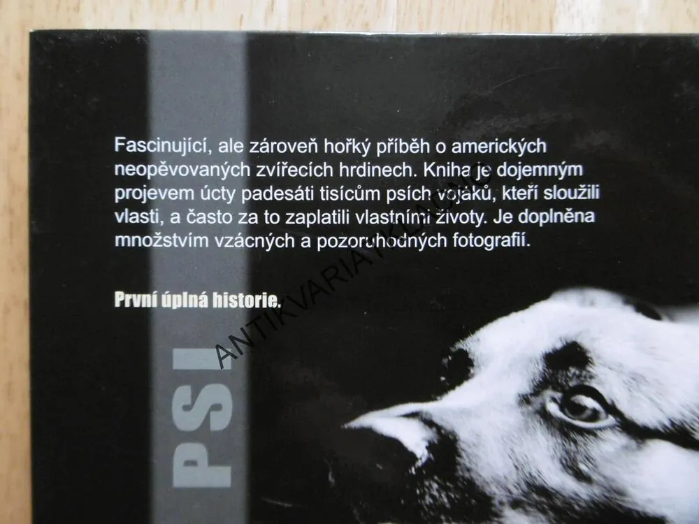 VÁLEČNÍ PSI, MICHAEL G. LEMISH