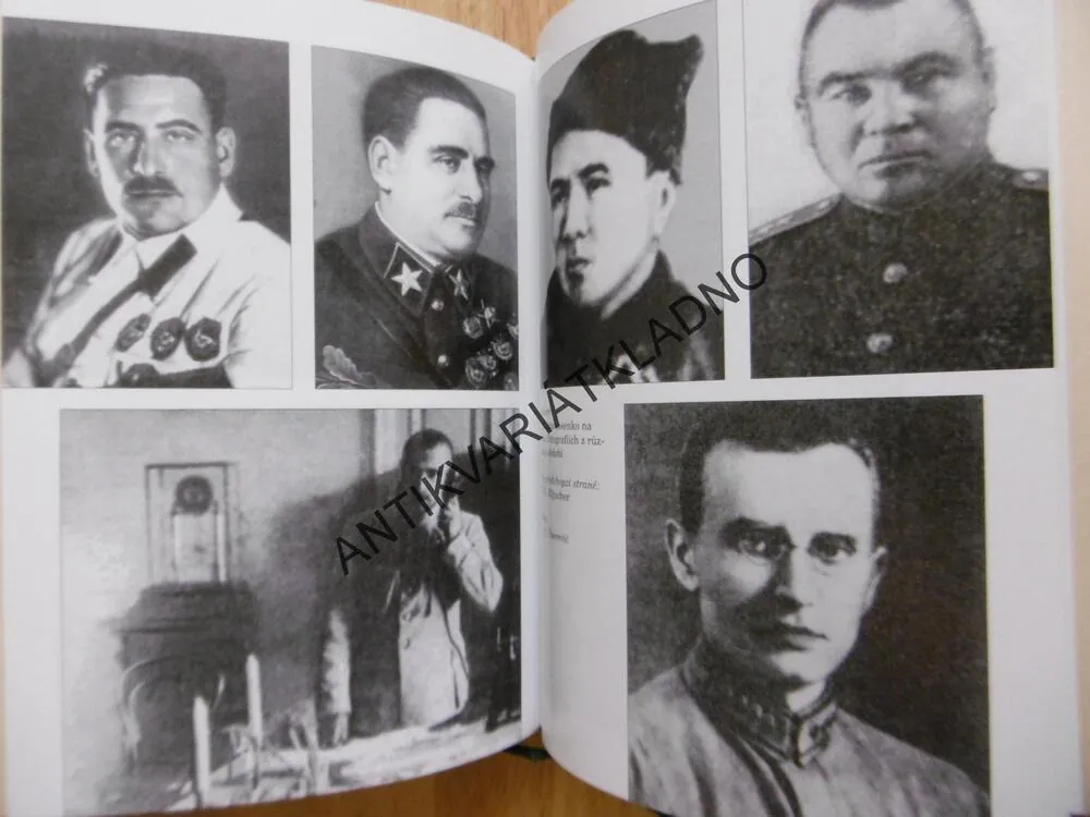 OČISTA, STALIN, VIKTOR SUVOROV