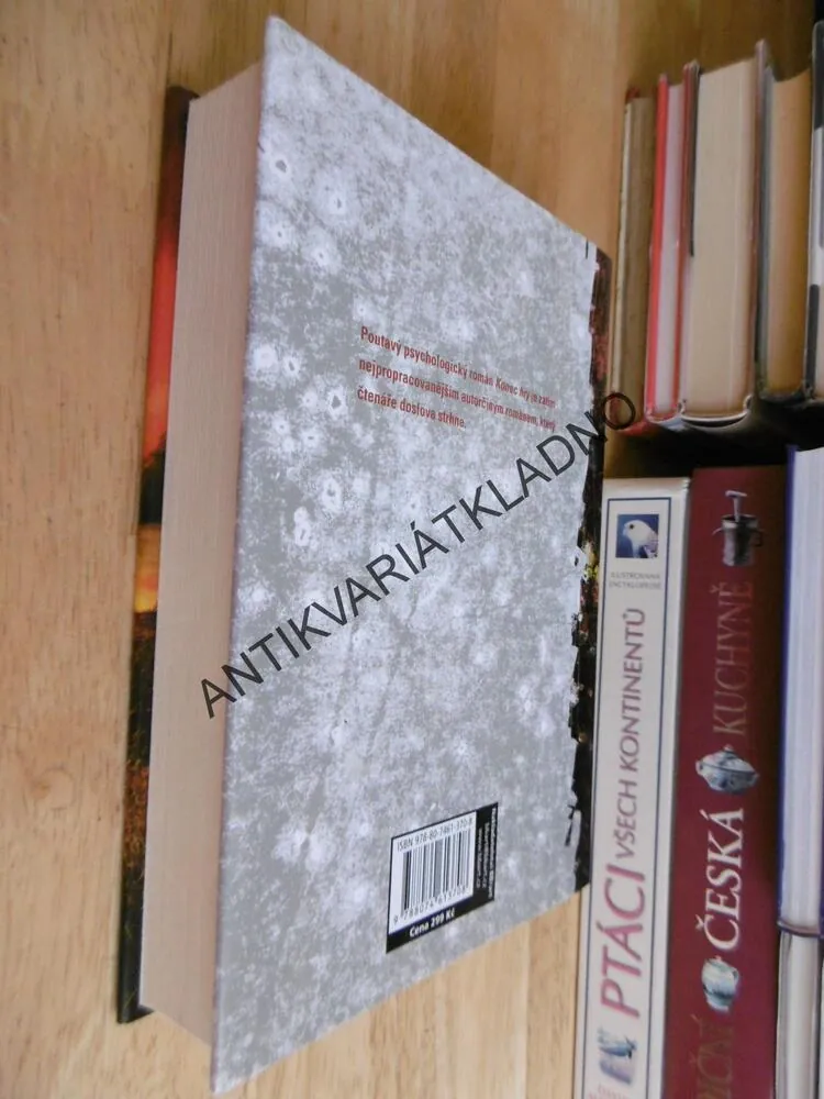 KONEC HRY, VAL MCDERMIDOVÁ, **an